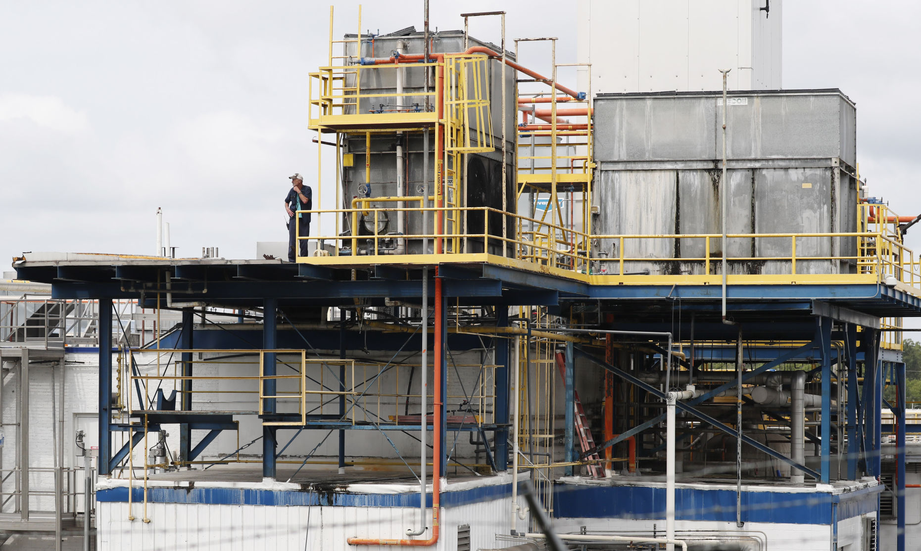Immigration Food Plant Raids